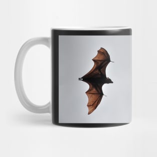 Australie - Cairns, Flying Fox Mug